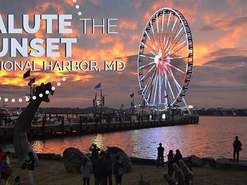Salute the Sunset
